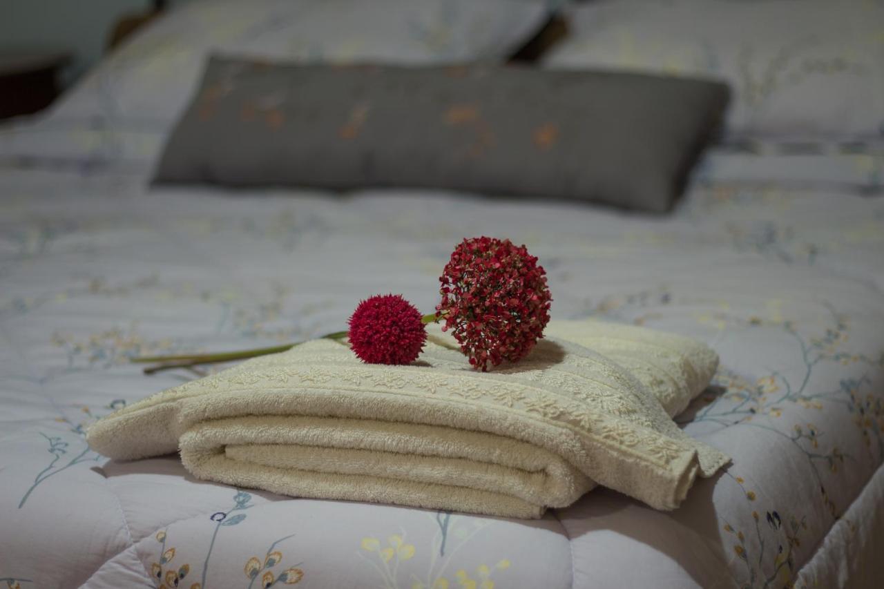 Akrolimnion Hotel Joánina Kültér fotó
